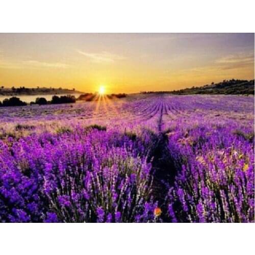 DIY 5D Full Diamonds Embroidery flowers square Diamond Painting Cross Stitch Kits lavender pattern Diamond Mosaic picture