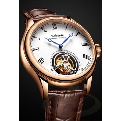 AESOP Mens Mechanical Watch Flying Tourbillon Waterproof Skeleton Watch for Men Man Male Clock Man Watch Top Brand Luxury 2021