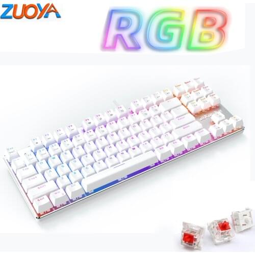 RGB Edition Mechanical Keyboard 87 104 keys Wired USB Blue red Switch Gaming Keyboards Anti-ghosting For professional players