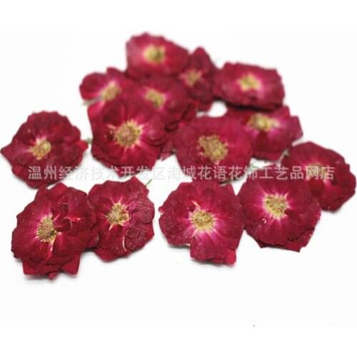 Rose Dried Flower Embossing DIY Handmade Glue Phone Case Photo Frame Bookmark Card Dried Flower Material