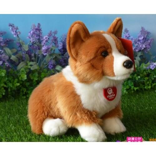 About 30cm yellow&white welsh corgi dog plush toy soft doll birthday gift b0103