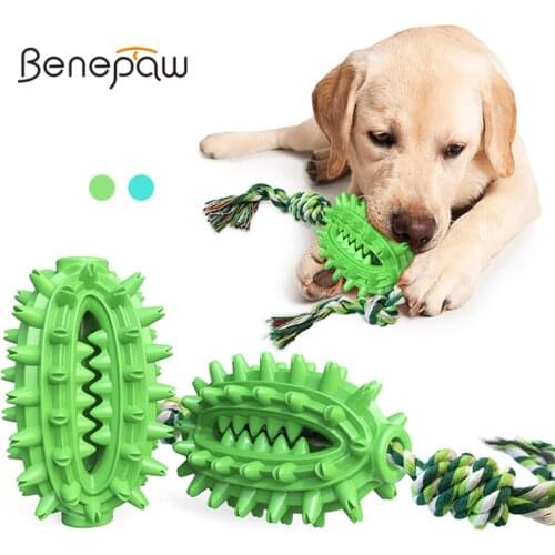 Benepaw Cactus Shaped Dog Chew Toys Removable Cotton Rope Soft Safe Rubber Pet Toothbrush For Small Medium Big Dogs Dental Care