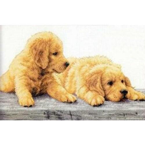 Gold Collection Counted Cross Stitch Kit Golden Retriever Puppies Puppy Dog Dogs dim 70-35309 35309