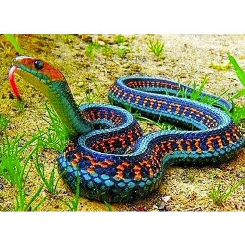 Full Square/Round 5D DIY Diamond Painting Color Snake Pattern Embroidery Cross Stitch Mosaic Rhinestone Art Stickers Decor DF356