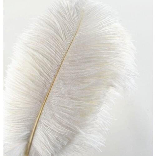 Wholesale White Ostrich Feathers 15-75CM 6-30 Inch Diy Christmas Party Wedding Dress Decorations Natural Ostrich Feathers plumes
