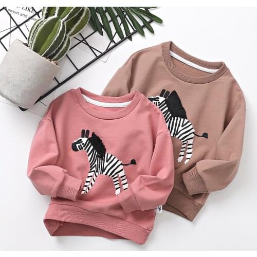 Toddler Girls Hoodies Casual Cartoon Horse Print Sweatshirts For Boys Kids Clothing 2020 New Fashion Children Long Sleeve Shirts