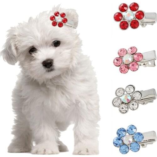 Pet Accessories Popular Crystal Puppy Hair Clips Pet Hairpin for Cats Dogs Cute Hair Clips Pet Hair Grooming Hair Dog Fashion