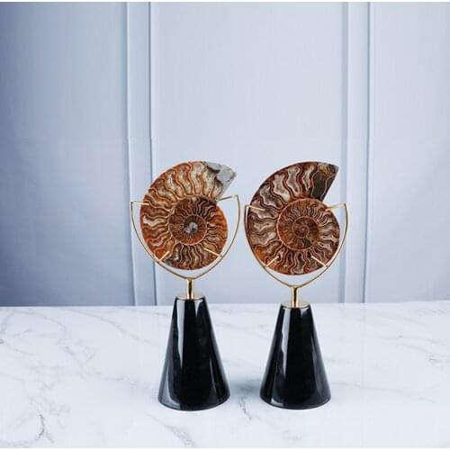 Nordic Nautilus Fossil Decoration Titanium Gold Stainless Steel Home Jewelry Model Room Living Room Marble Crafts Limited sales