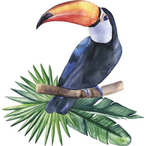 Multicolor Parrot Wall Sticker For Living Room Bedroom Kids Rooms Wall Decor Nursery Decor Sticker Home Decoration Art Murals