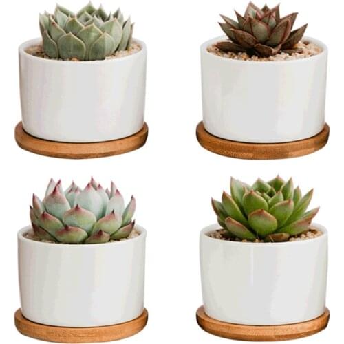 Ceramic Flower Planter Succulent Basin With Bamboo Tray 4packs Morden Pattern Home Garden Decor For Cactus White Flowers Pot