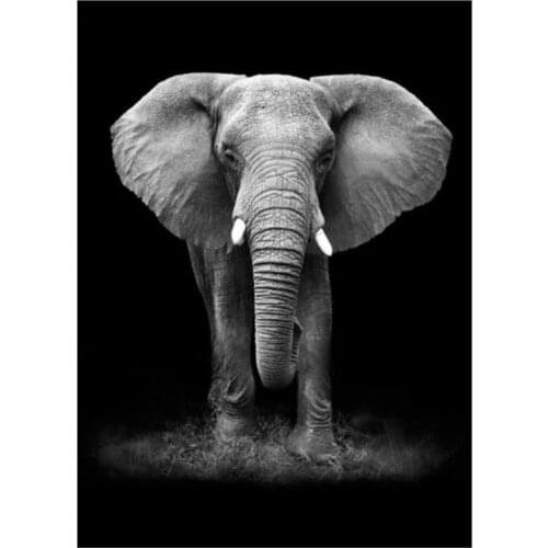 Kexinzu 5D DIY Full Square/Round Diamond Painting"Black White Animal" Embroidery Cross Stitch handcraft work Home Decor Gift 014