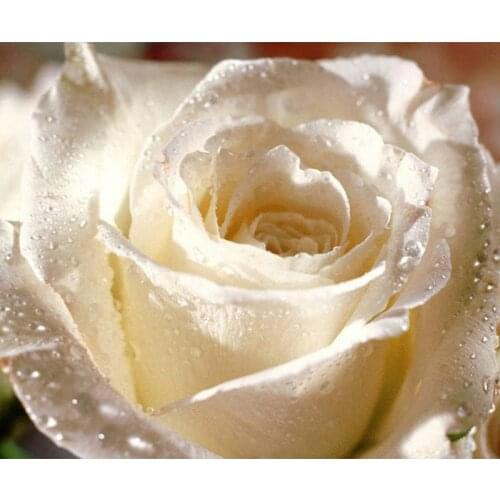 YIKEE diamond painting flower,cross stitch diamond,diamond mosaic paintings Y592