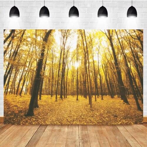 Laeacco Autumn Sunset Forest Fallen Leaves Photo Photography Background Photographic Photography Backdrop For Photo Studio