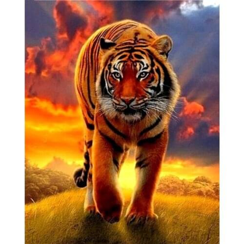 5d Diamond painting Abstract Tiger Animal Diy diamond embroidery Wall Art Picture diamond mosaic Canvas cross stitchZP-3626