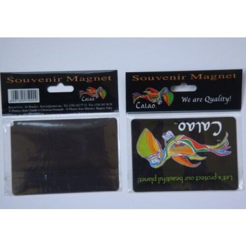 UV Resistant Outdoor Colorful car magnetic,Custom paper printed business card fridge magnet manufacturers ---PX6004