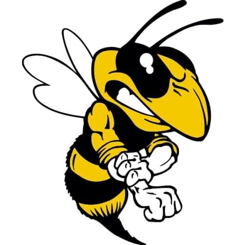 JuYouHui Exterior Accessories Decal Cartoon Angry Bee Car Sticker Decals Waterproof Decoration Animal Graphic