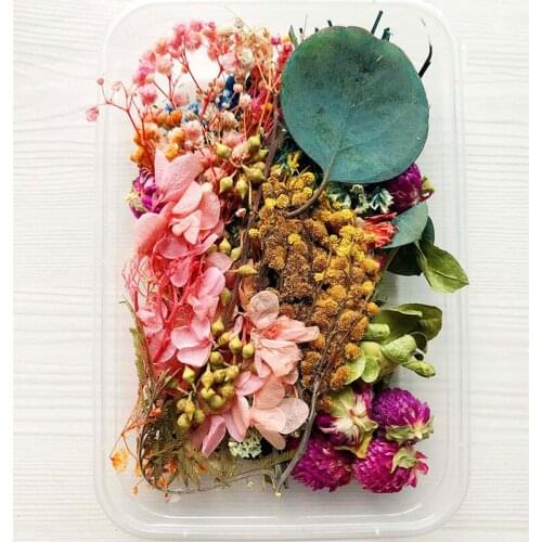 Dried Flowers Package Mixed Eternal Flowers and Foliage for DIY Aromatherapy Candles Greeting Card Epoxy Craft Decor B99