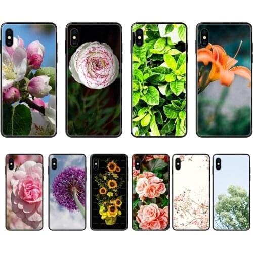 Black Soft Personalized Pattern Plant Flowers Green Bunny Ears Cactus Classic For Galaxy Note 4 8 9 10 20 Plus Pro J6 J600 J7