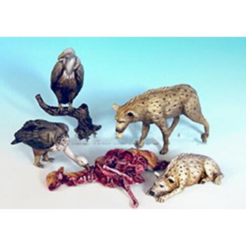 1/35 Resin Model Building Kit Figure Animal series