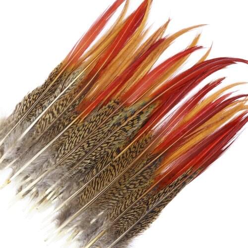10pcs Natural Pheasant Tail feathers for crafts Red Tip Chicken Feather Christmas Headdress Party Decorative Accessories Plumes