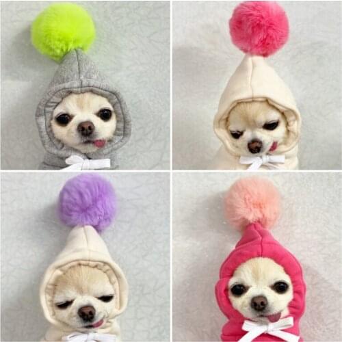 Dog Clothes Cartoon Sweater Dog Cat Hoodie Pet Sweater Autumn and Winter Clothing Supplies