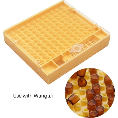 5 Pcs Queen Rearing Cupkit Box Beekeeping Tools Bee Rearing System Apiculture Equipment Cage Supplies