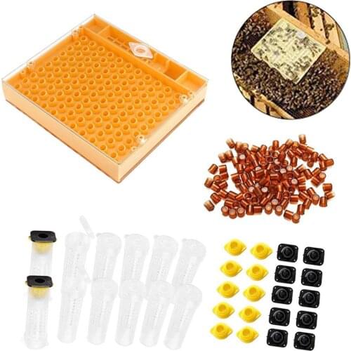 Beekeeping Tool Set Queen Bee Cultivation System Incubator Box Without Moving Insect King Bee Cage 110 Production Cells Wangtai
