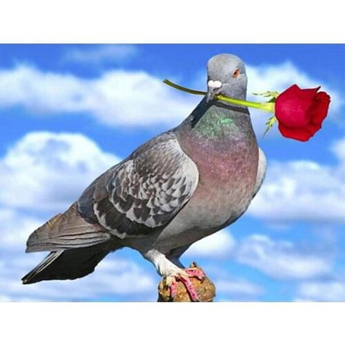 5D Diy Diamond Painting Cross Stitch Animal Pigeon Rose Home Decor Full Rhinestones Mosaic Inlay Diamond Embroidery Handcraft