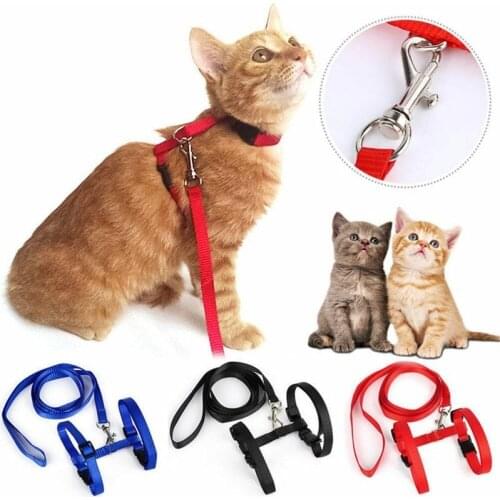 GRACERICHARY Collars For Cats