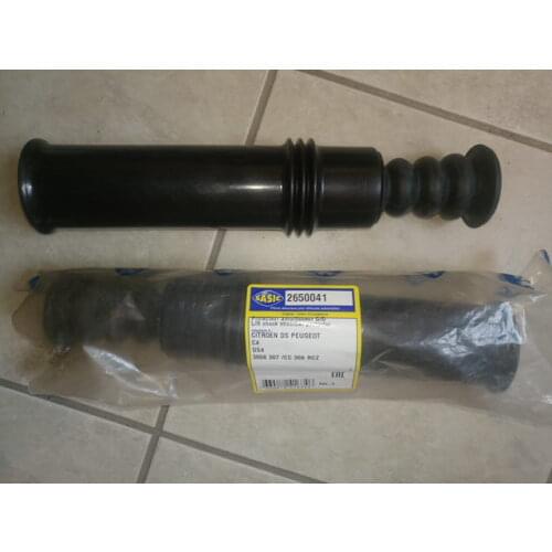 Sasic Shock Absorbers