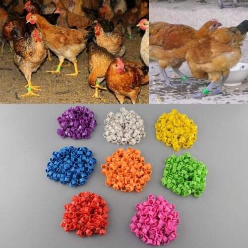 Pecute Products For Farm Animals