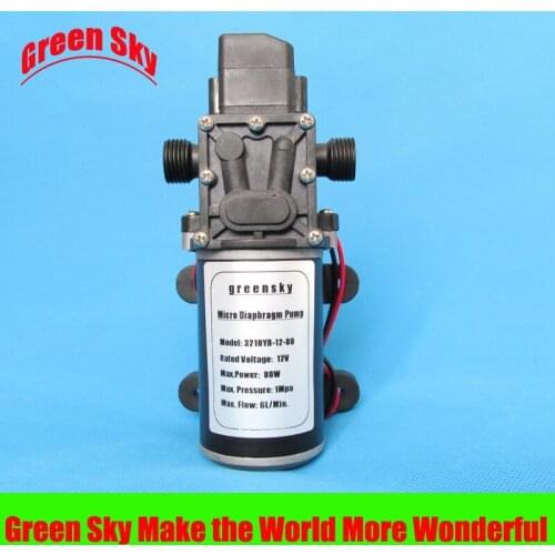 6L/Min 12V DC 80W automatic pressure switch type diaphragm pump 12v