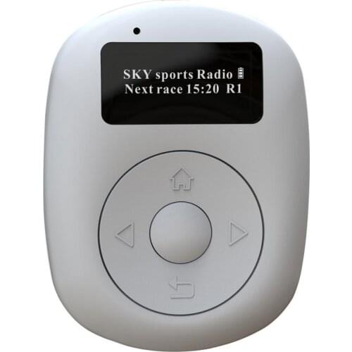 Digital Radio With Bluetooth DAB/DAB+/FM Radio Mini OLED Display Digital Voice Display With Bluetooth FM Wireless Lift