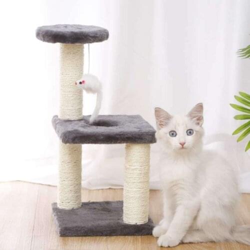 Small Cat Tree House Cat Cat Scratchers Climbing Frame Pet Cat Toy Kitty Play House