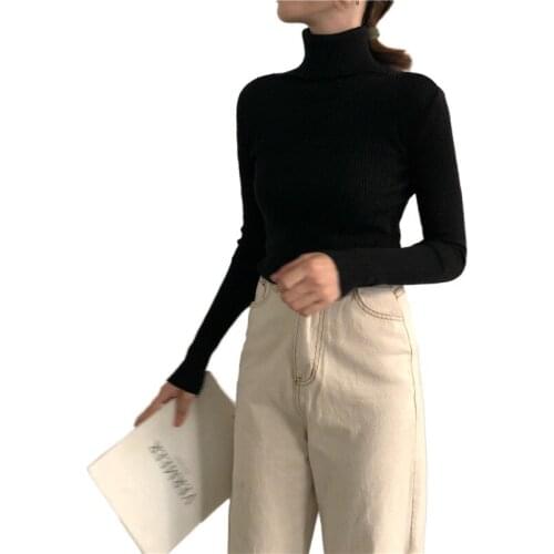 2021 Autumn Winter New Casual Turtleneck Solid Sweater Female Long Sleeve Knitted Pullover for Women Slim Knitted Tops