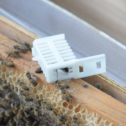 5/10 Beekeeping Queen Bee Rearing Cage Multifunction Bees Tools Anti Escape Plastic Cell Beekeeper supplies Apiculture Equipment