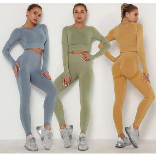 Sports Set Women Sports Yoga Suit Fitness Outfit Activewear Set Seamless Leggings Gym Workout Shirts Yoga Clothing Sportswear