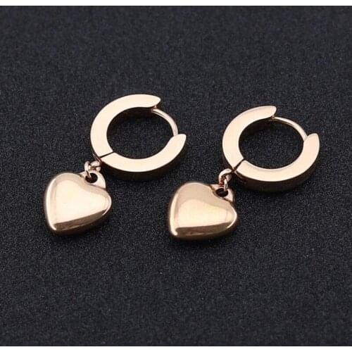 DOUBLEHEE57 Heart Trendy Brief Titanium Stainless Steel Colors Plated Men Earring Drop Earrings For Women Classic Jewelry