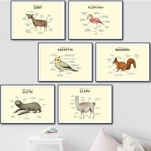 Fox Lazy Sheep Animal Anatomy Mural Art Canvas Painting Nordic Posters and Prints Living Room Decoration Painting Wall