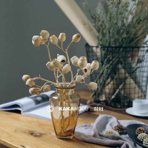 Imported Ins Northern European-Style Natural Dried Flowers Dried Fruit Flower Arrangement with Fruit Model Room Decoration