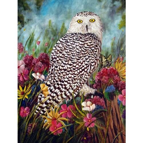 Evershine 5D DIY Diamond Painting Owl Rhinestone Art Full Square Diamond Embroidery Animal Home Decor Gift