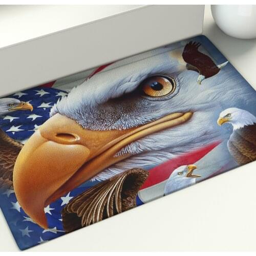 US Flag and Bald Eagle Floor Mat Meditation Area Rugs Large Home Living Room Bedroom Carpet Decor Doormat