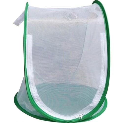 Insect Cage Foldable Easy to Carry Green Insect Mesh Cage Terrarium for Garden