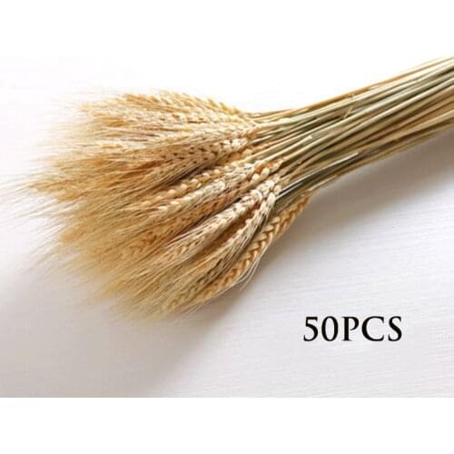 50-100Pcs Real Wheat Ear Flower Natural Dried Flowers for Wedding Party Decoration DIY Craft Scrapbook Home Decor Wheat Bouquet