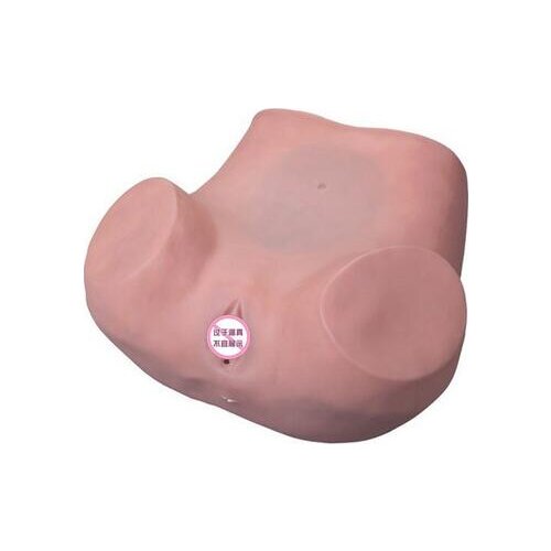 Normal palpation and visual inspection of uterus in gynecological examination model