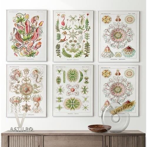 Ernst Haeckel Surrealism Art Forms In Nature Exhibition Museum Poster Prints Canvas Painting Marine Organism Plants Home Decor