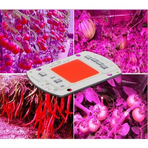 DIY AC COB LED Grow Light Chip 220V Real Full Spectrum 380~780nm Actrual Power 20W 30W 50W Replace Sunlight for Indoor Plants