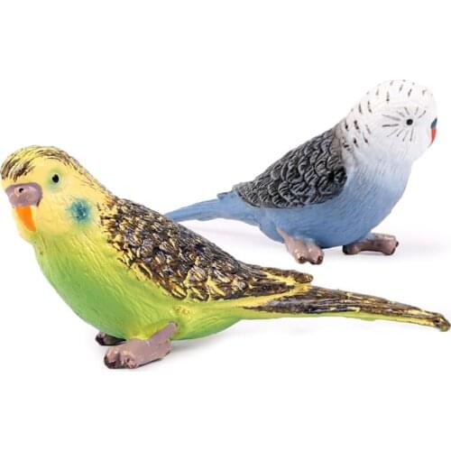 Simulation Parrot Bird Wild Solid Model Figurine Kids Educational Toy Desk Decor