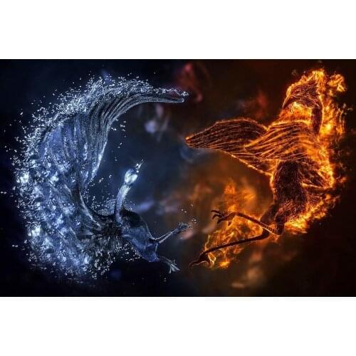 JMINE Div 5D Fire Ice Phoenix bird Full Diamond Painting cross stitch kits art High Quality Animal 3D paint by diamonds