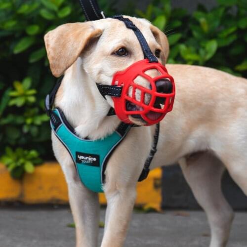 Breathable Basket Muzzles Dog Mask Bark Bite Mesh Mouth Muzzle Pet Training Accessories Comfy Soft Silicone Pet Dog Muzzle